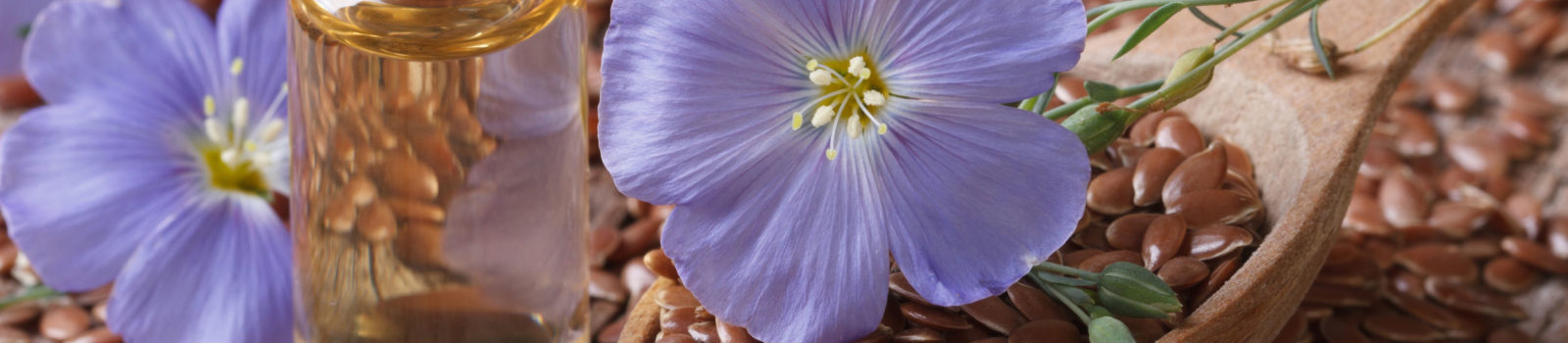 Flax on the menu