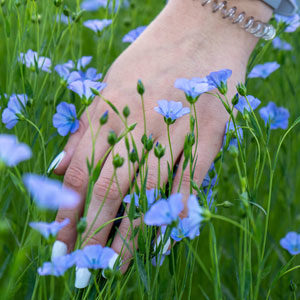 Land of flax