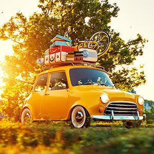 Local Transport